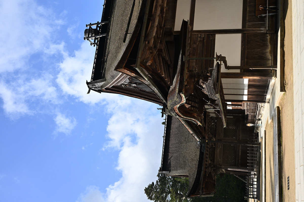 �T���l�C��07