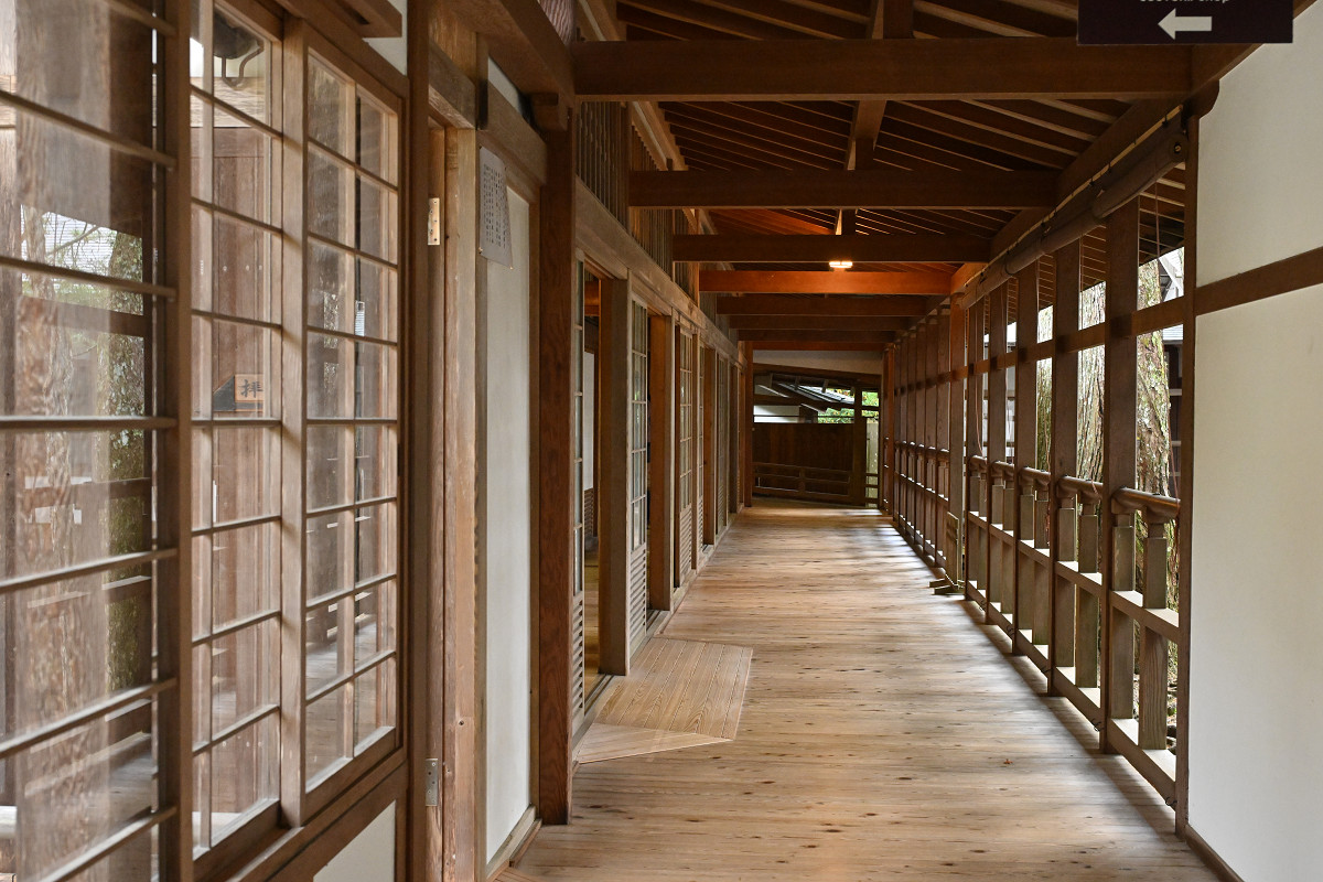 �T���l�C��08