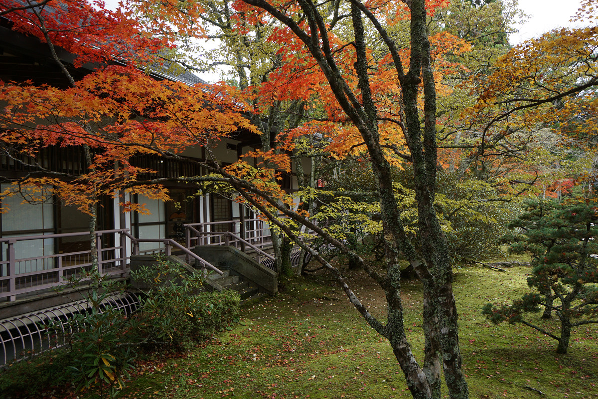 �T���l�C��09