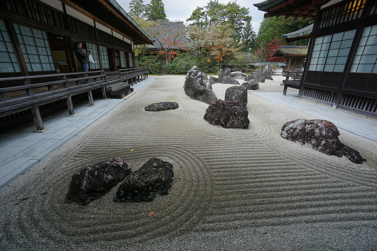 �T���l�C��10