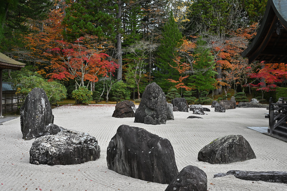 �T���l�C��11