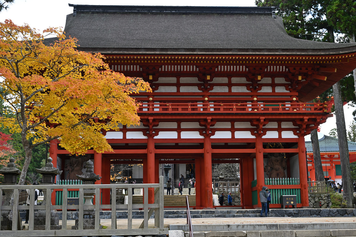 �T���l�C��13