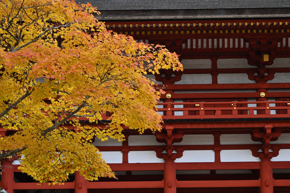 �T���l�C��14