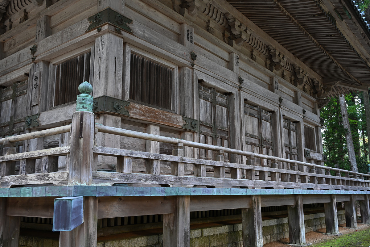 �T���l�C��19