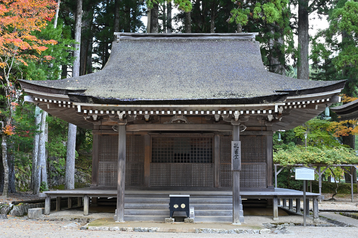 �T���l�C��21