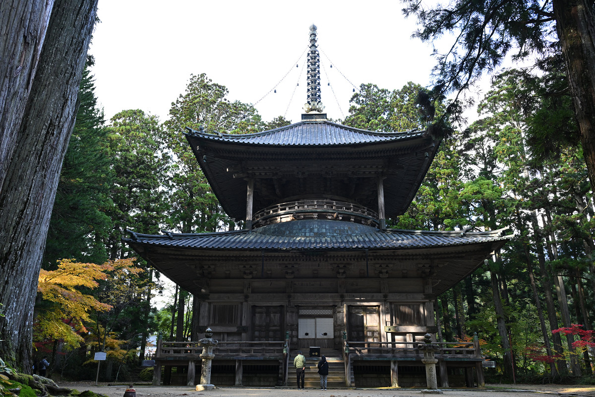 �T���l�C��22