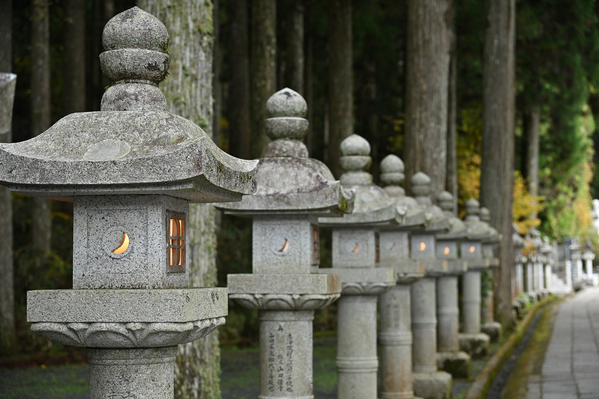 �T���l�C��23