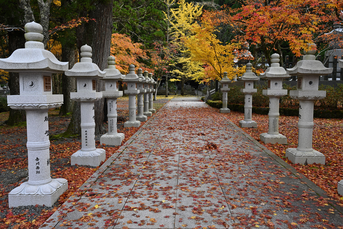 �T���l�C��25