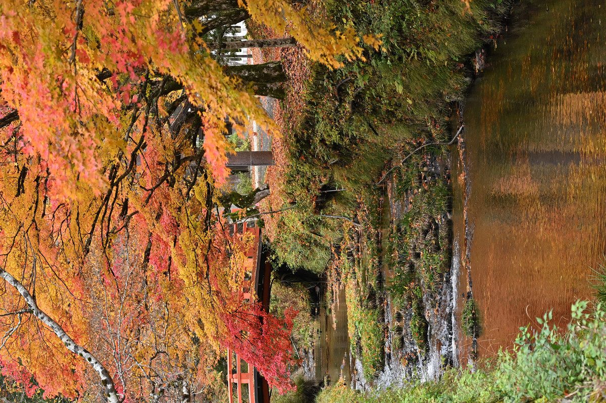 �T���l�C��26