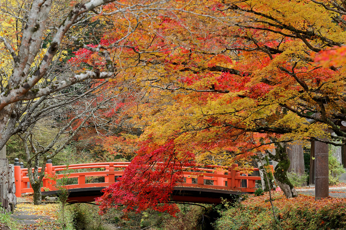 �T���l�C��27