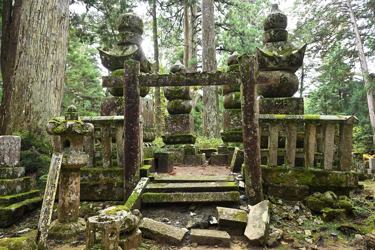 �T���l�C��33