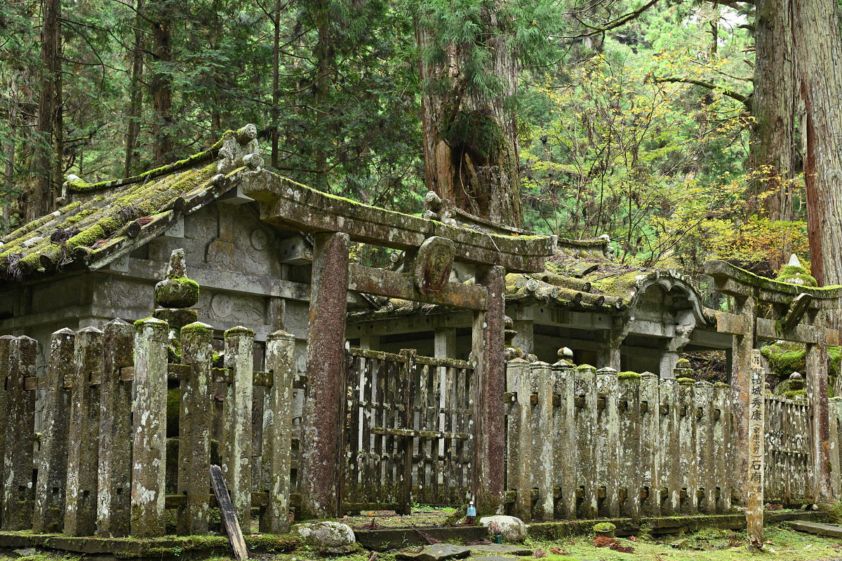 �T���l�C��35