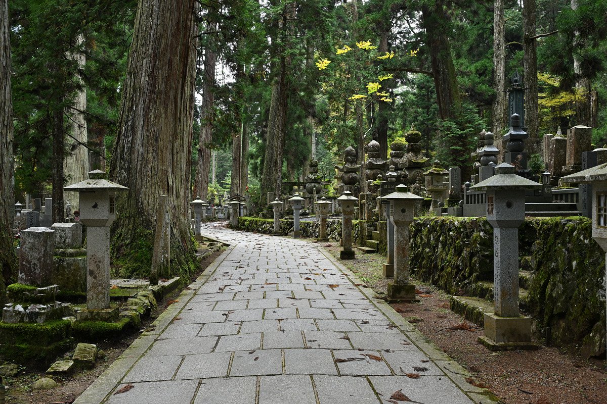 �T���l�C��36