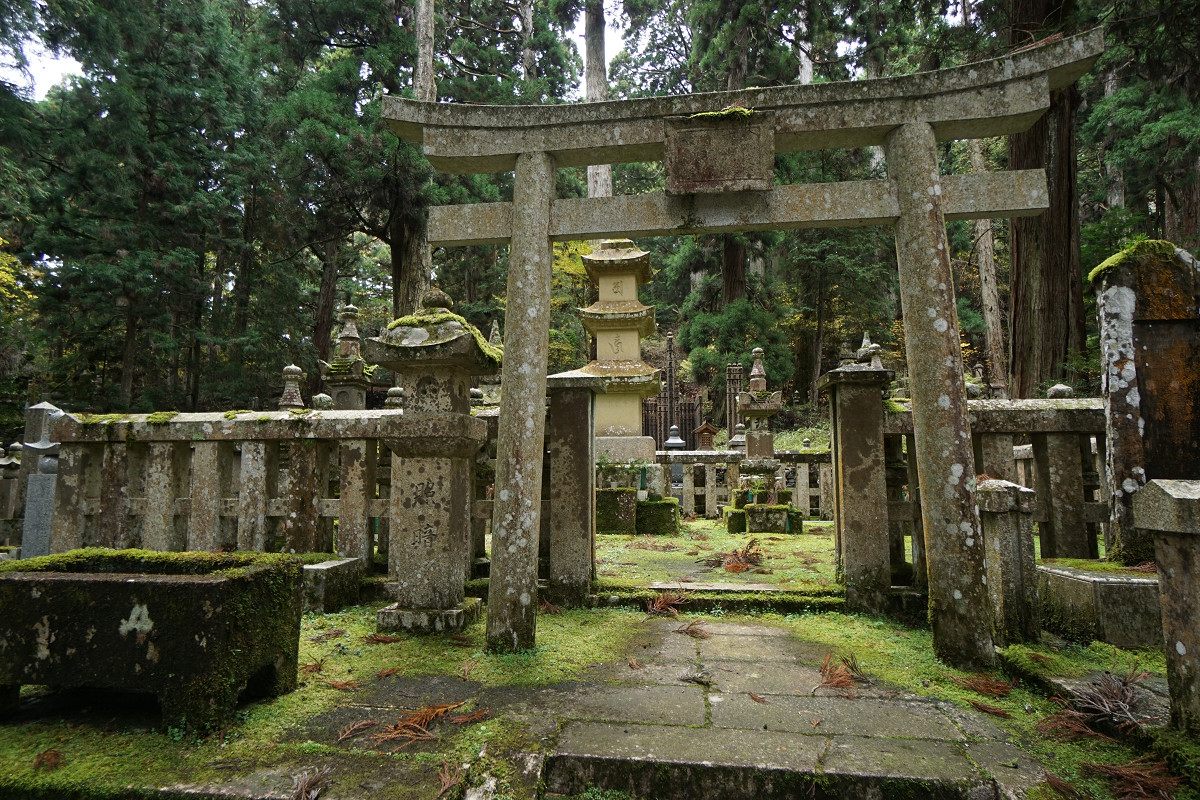 �T���l�C��37