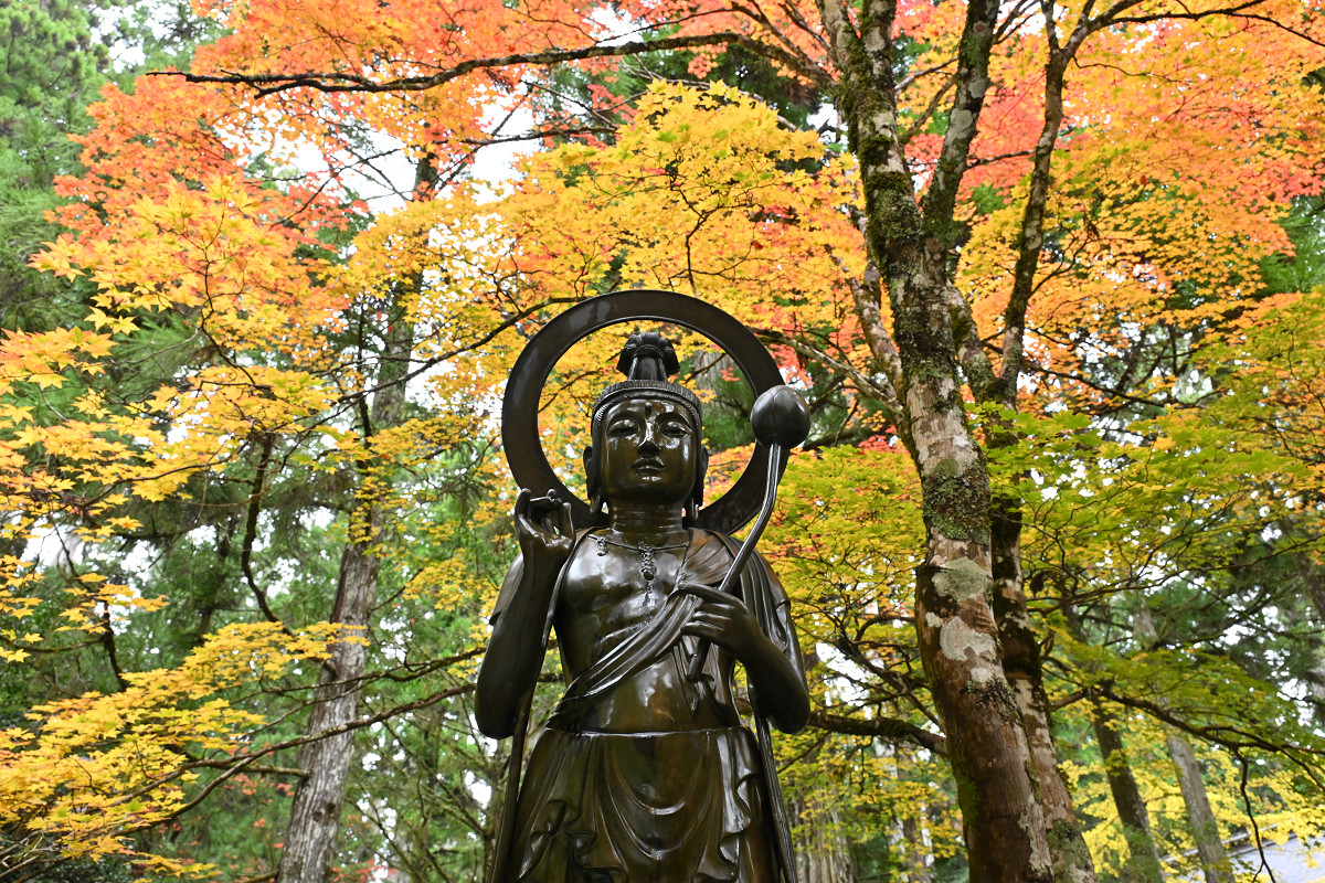 �T���l�C��40