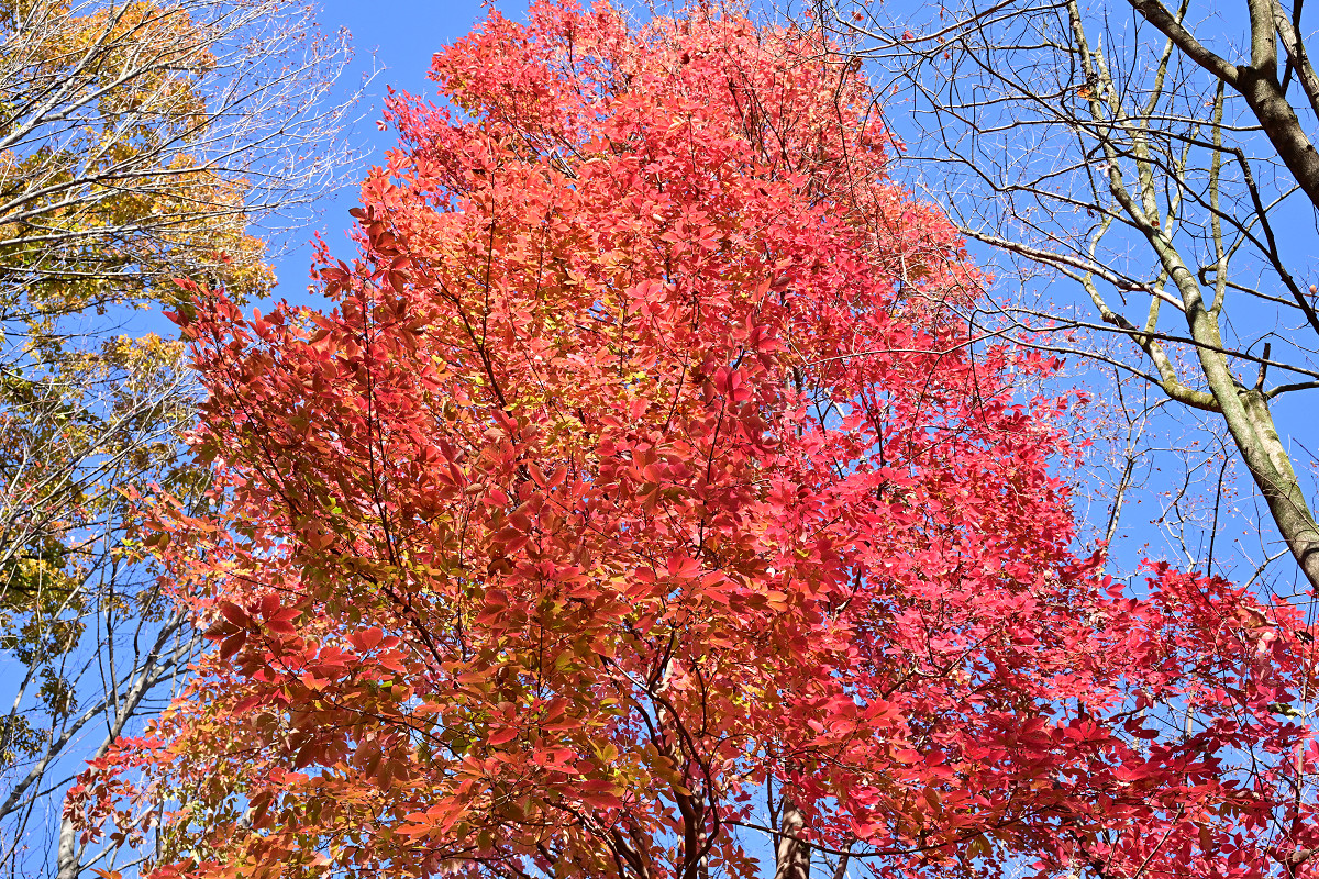 �T���l�C��14