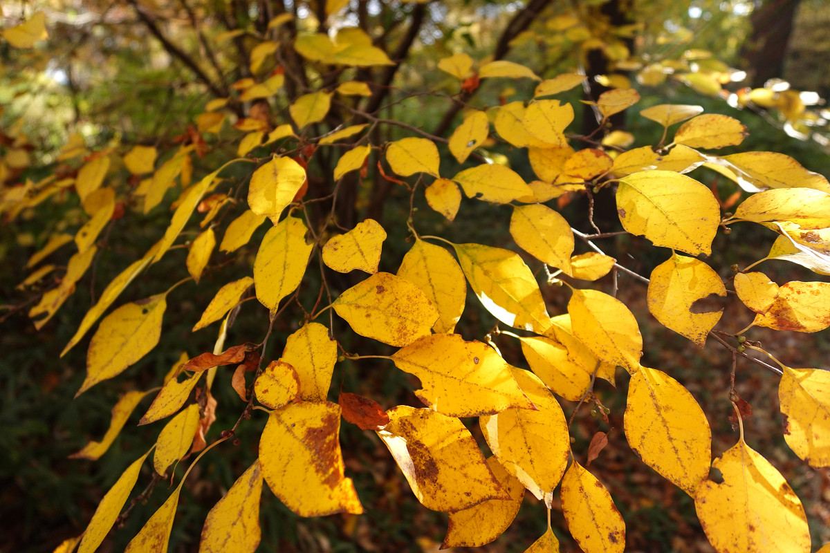 �T���l�C��27