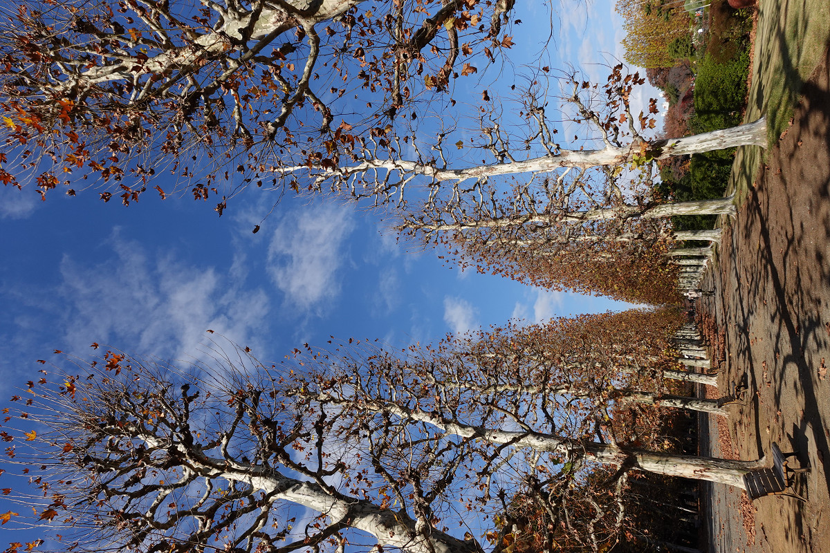 �T���l�C��28