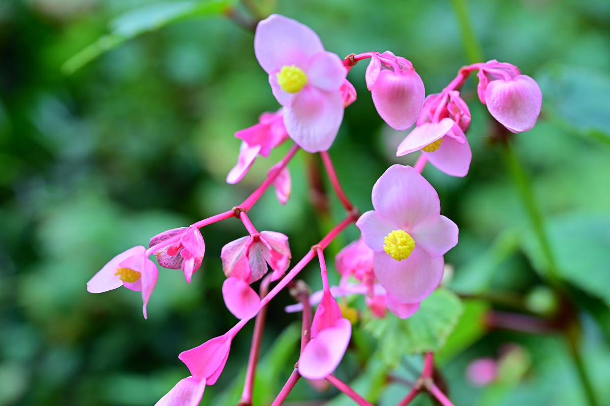 �T���l�C��06