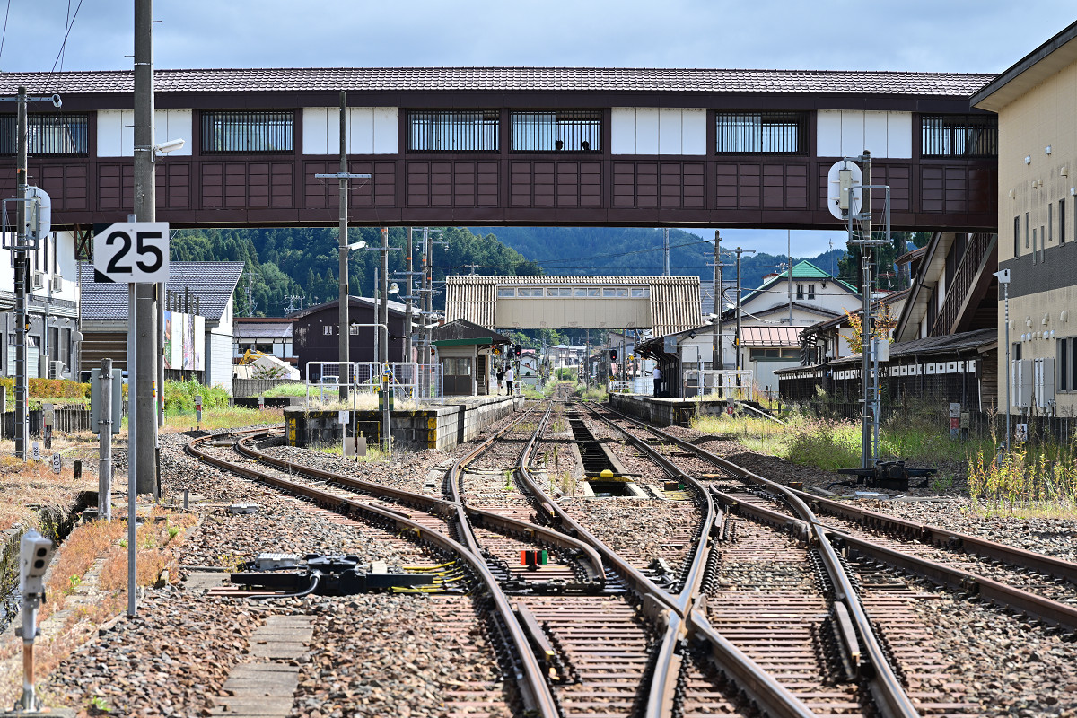 �T���l�C��02