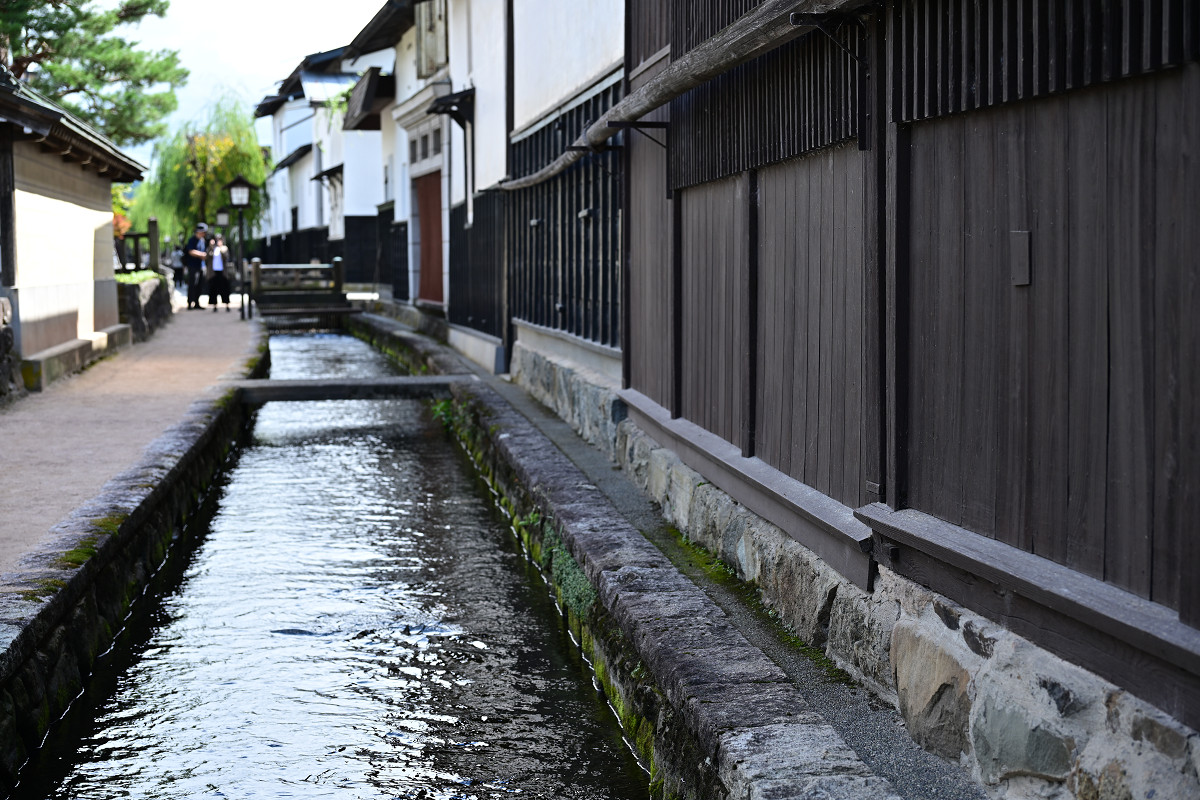 �T���l�C��05