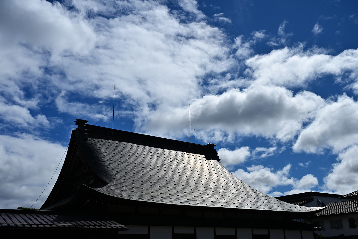 �T���l�C��08