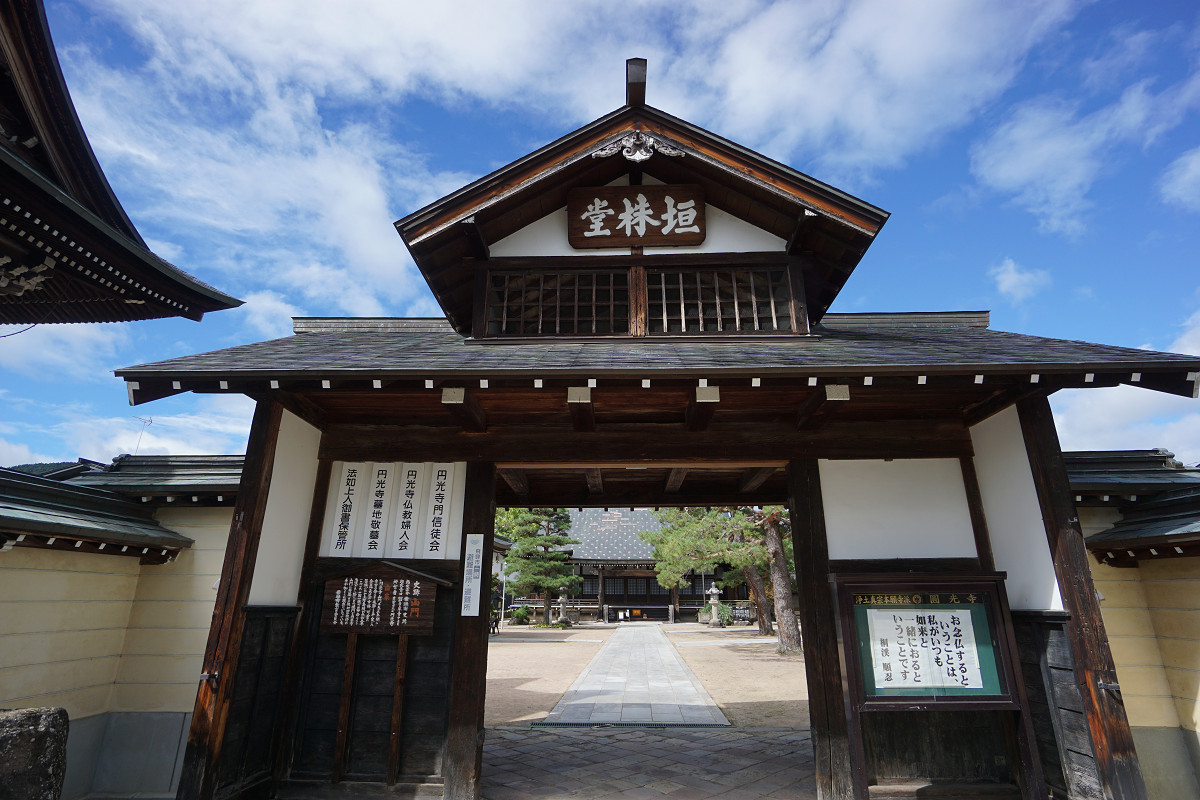 �T���l�C��11