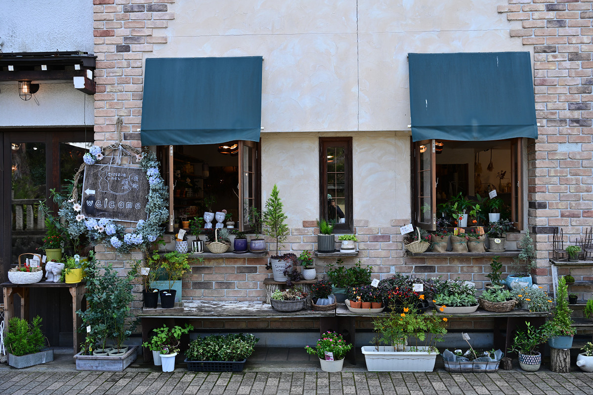 �T���l�C��12