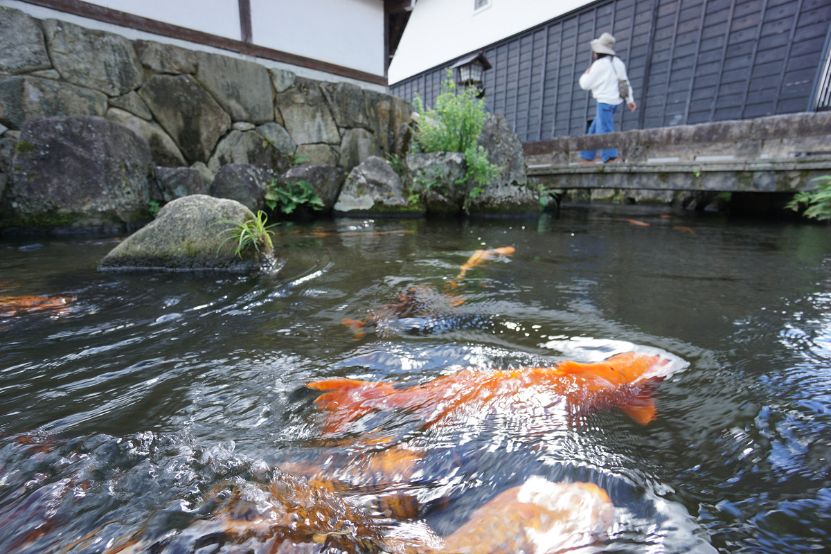 �T���l�C��13