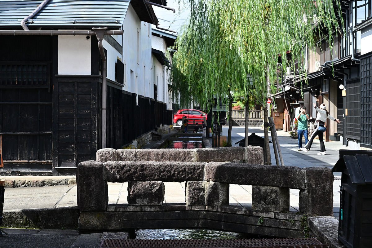 �T���l�C��19