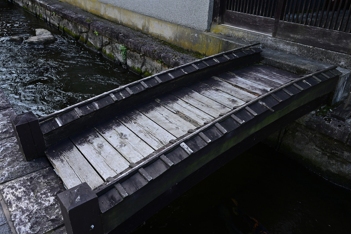 �T���l�C��20