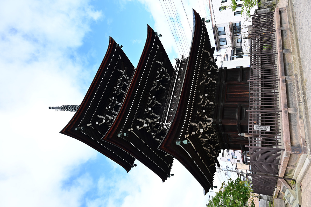 �T���l�C��22