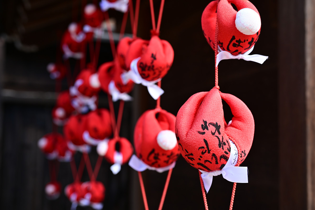 �T���l�C��24